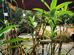 -三嚥阁 La Villa Restaurant