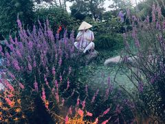 -拈花湾景区-五灯湖
