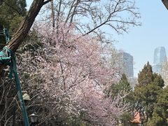 -睦南公园