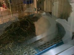 -雨林宠物医院 非犬猫异宠专科