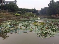 -广东轻工职业技术大学(新港校区)