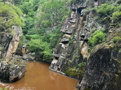 -茅兰沟国家森林公园