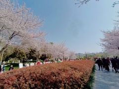 -堤角公园