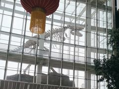 -吉林省自然博物馆