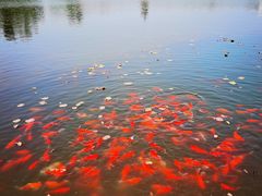 -西海子公园