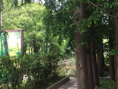 -长兴岛郊野公园农场食堂