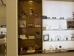 -锦泉眼视光中心(海珠广场店)
