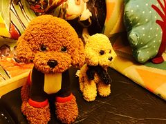 -佐佑帐篷环游记(南锣鼓巷店)
