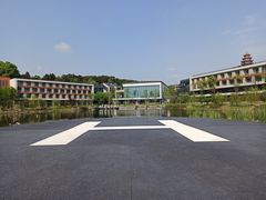 -铁山坪森林公园