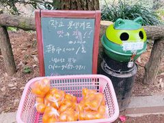-柱状节理带