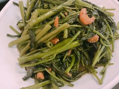-Asianplus海蓝鸡饭