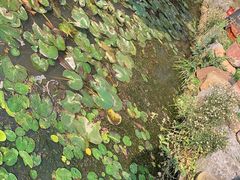 -竹泉村旅游度假区