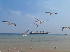 -海驴岛(荣成市)