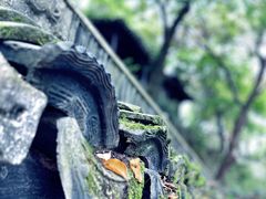 -虎丘山风景名胜区