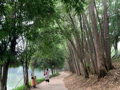 -三水森林公园