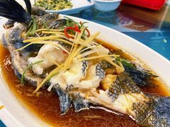 -富港会·海鲜酒楼(墟沟店)