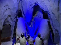 -太平洋海底世界