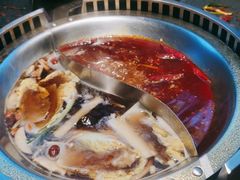 -辣伍鲜毛肚老火锅(元一店)