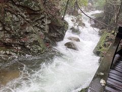 -祁门牯牛降观音堂风景区