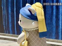 -深圳湾万象城