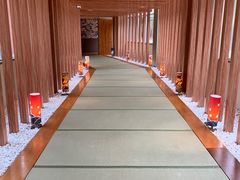 -重庆南山海昌汤都