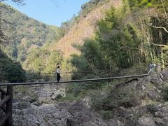 -泽雅七瀑涧景区