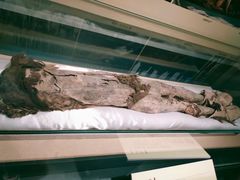 -巴音郭楞蒙古自治州博物馆