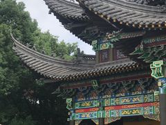 -汤山公园