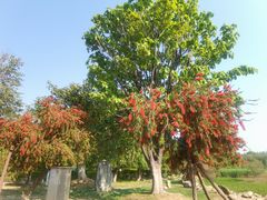 -洱海月湿地公园