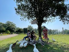 -Club Med地中海俱乐部·桂林度假村