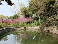 -嘉定紫藤园