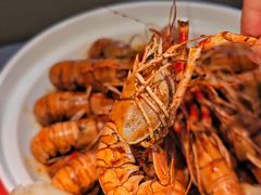 -前海沿·青岛菜(大拇指广场石老人店)