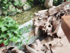 -竹淇茶馆(车站北路店)