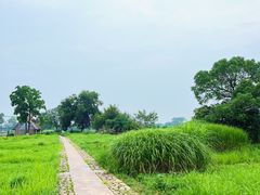 -良渚古城遗址公园