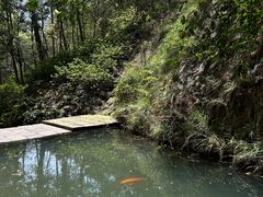 -雁荡山三折瀑景区