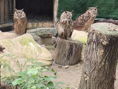 -沈阳鸟岛