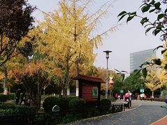 -大兴滨河森林公园