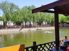 景观位-尚庄度假村·庭台树下·户外烧烤·团建CS·轰趴营地(上庄水库店)