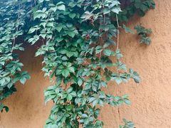 -北京园博大酒店