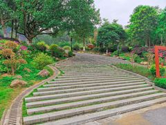 -火炉山森林公园
