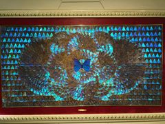 -上海昆虫博物馆