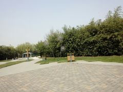 -唐城墙遗址公园