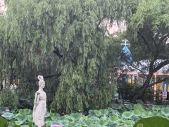 -北陵公园