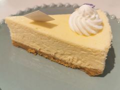 芝士蛋糕-伊斯坦布尔土耳其清真咖啡餐厅