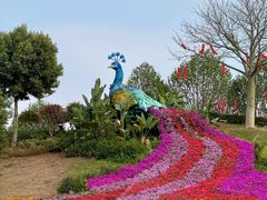 -东莞植物园