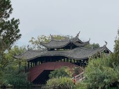 -三垟湿地