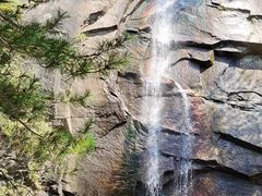 -内乡宝天曼生态旅游区