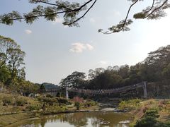 -东莞植物园