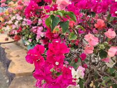 -三亚南山文化旅游区