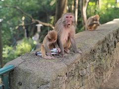 -黔灵山公园